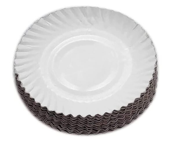 1 White Paper Plates