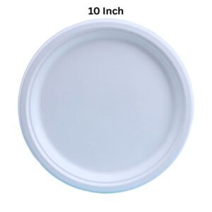 10 Inch Bagasse Plate - Plain