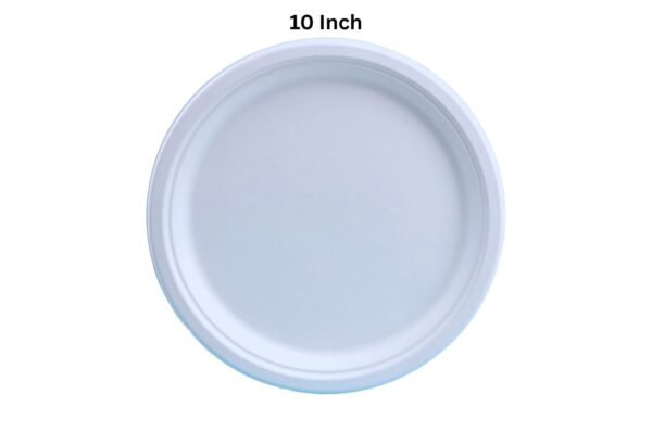 10 Inch Bagasse Plate - Plain
