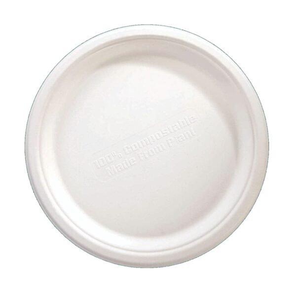 12 Inch Bagasse Plate - Plain