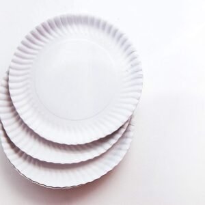 3 White Paper Plates