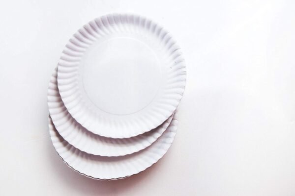3 White Paper Plates