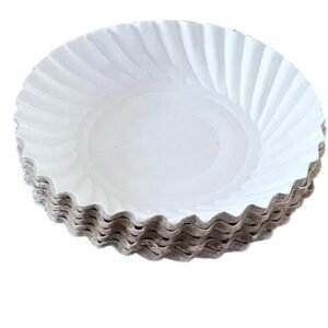 5 White Paper Plates